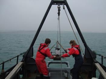 Seastar Survey benthic survey for Newhaven Port 